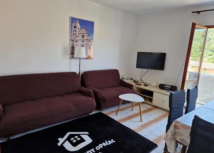 Opacac * Veli Iž